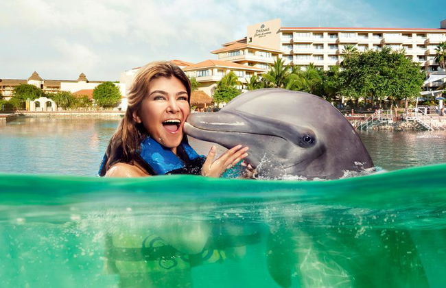 Incontro con i delfini a Puerto Aventuras - Foto 5